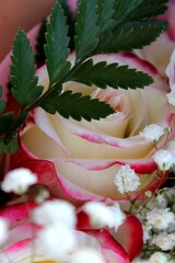 A rosebud in a bouquet