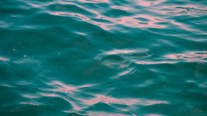 Blue sea water surface  and ripples