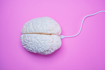 Human brain connected with USB wire cord concept