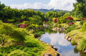 Fototapeta na wymiar Japanese garden and nature