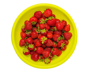 top view of strawberries with green tails in a large yellow container. concept of picking berries and teasing.