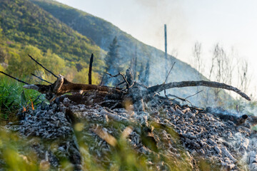 Extinguishing campfire with rising smoke in air, pile of burnt dry tree branches in the field on mountains background. Deforestation and air pollution concept