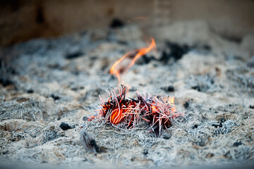 Ash and Fire - Tokyo （Sensō-ji）
