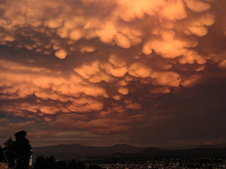 silhouette of a person