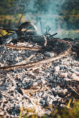 Close-up of extinguishing bonfire with rising smoke in air, pile of burnt dry tree branches in the field. Deforestation and air pollution concept