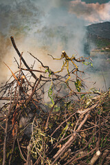 Pile of dry tree branches, fallen leaves and cut grass burning in campfire with poisoning smoke rising in air. Problem of abandoned fields, meadows and gardens, springtime cleaning causing