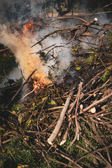 Pile of dry tree branches, fallen leaves and cut grass burning in campfire with poisoning smoke rising in air. Problem of abandoned fields, meadows and gardens, springtime cleaning causing