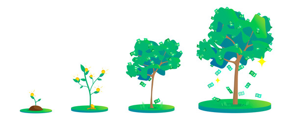 Fototapeta premium Growth stages of a cash tree