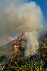 Fiery dense smoke rising in air on mountains and sky background, process of burning tree branches causing environmental pollution