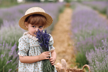 Little girl among the lavender