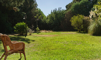 garden with a lot of grass and vegetation and a ratan chair in the foreground