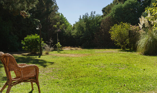 Garden With A Lot Of Grass And Vegetation And A Ratan Chair In The Foreground