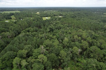 Fototapeta na wymiar Aerial View of Pond in North Florida 