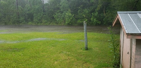 Storm Rains Florida