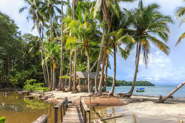 Tropical Island - Isla Parida in Gulf of Chiriqui, Panama
