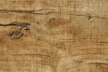 Wood texture background with veins and knots