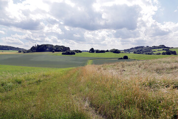 Obraz premium Landschaftsschutzgebiet bei Zingsheim, Eifel