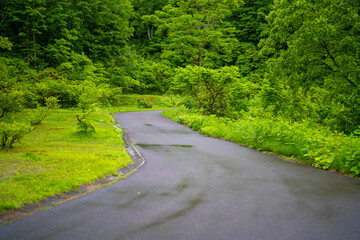 雨飾山 登山道の風景