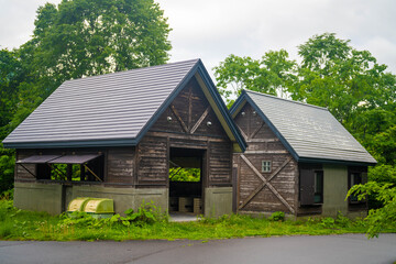 雨飾山 登山道の風景