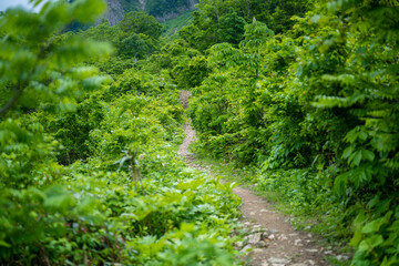 雨飾山 登山道