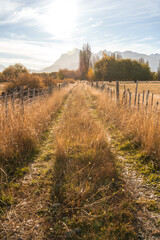ROAD IN THE FIELD. A WAY AT SUNSET. CAR TRACKS ON A RURAL ROAD. TREVELIN. PATAGONIA ARGENTINA.