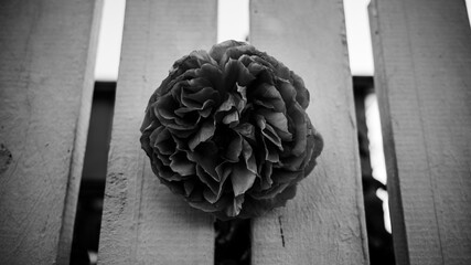 Black and white flower