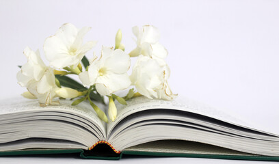 open book with flower