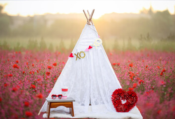 valentine tent in poppy field