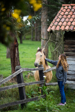 Young woman petting horse next to rural countryside stable
