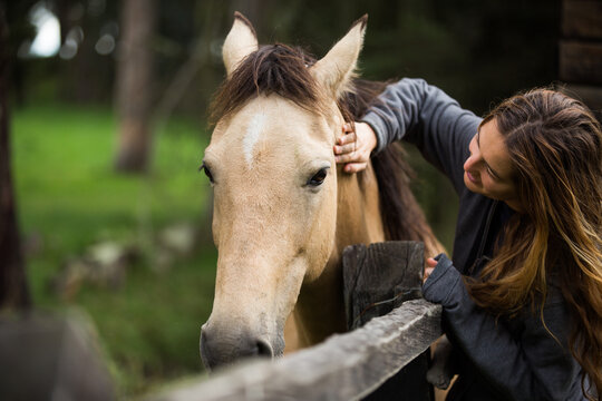 Young woman petting horse next to rural countryside stable