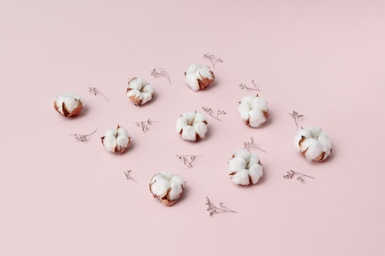 Dried cotton flowers on pink