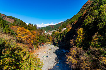【東京都】奥多摩の紅葉