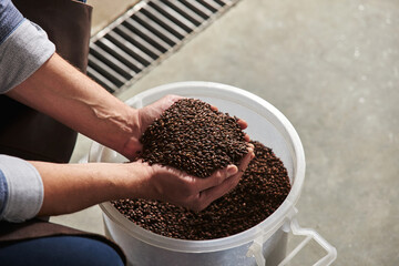 Hands Holding Grains In Brewery.