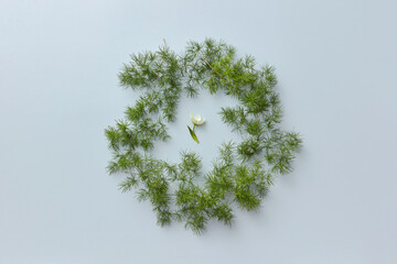 White flower in circle of green twigs