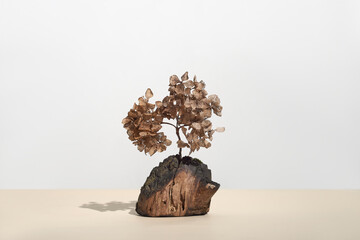 Decorative tree bark piece and dry flowers