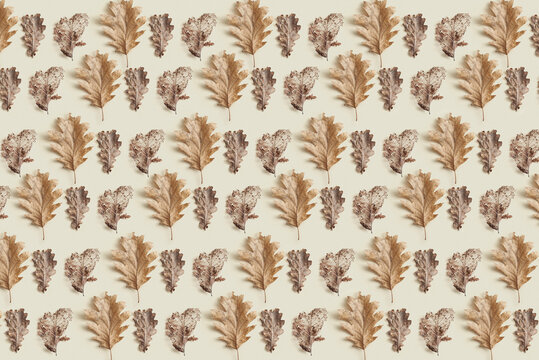 Pattern of dry decorative leaves