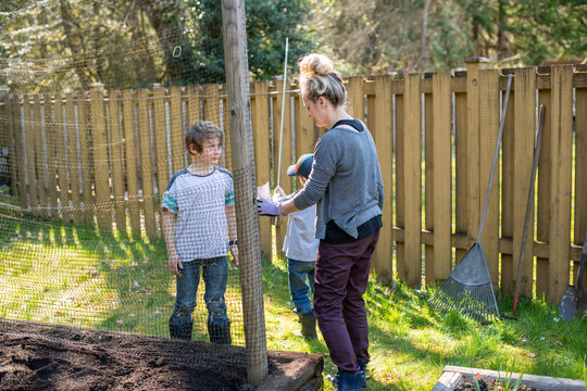 Young brothers help plant seeds in a garden in their back yard while their mom watches.