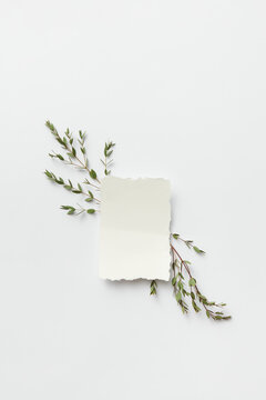Minimalistic template with leaves