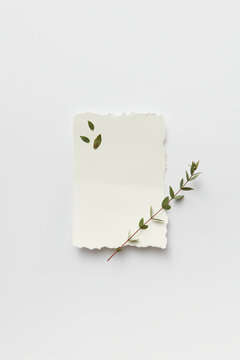 Empty card for note with leaves