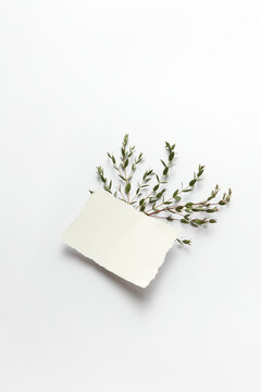White piece of paper for floral design
