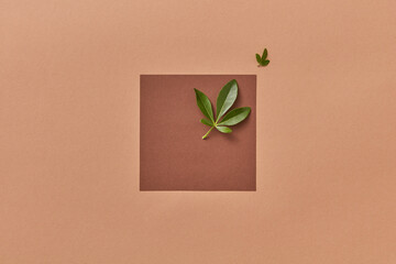 Green leaves on brown paper