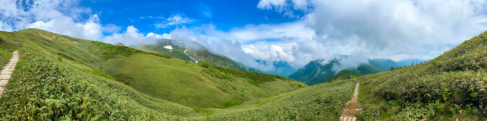 初夏の平標山の登山道
