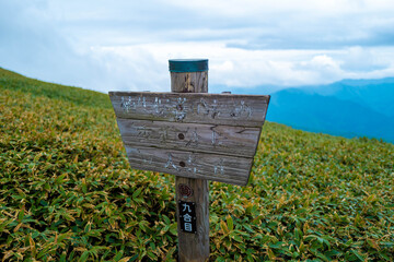 初夏の平標山の登山道