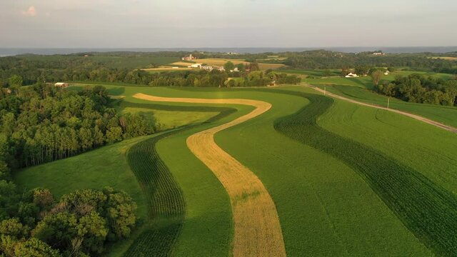 Midwest USA Rural farm scene at sunrise sunset sunlight. Rural landscape with agricultural fields, rows of corn and wheat, farm house. American Countryside. Aerial view, sunny sky, summer