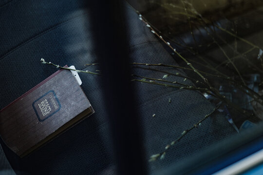 Book and spring branches