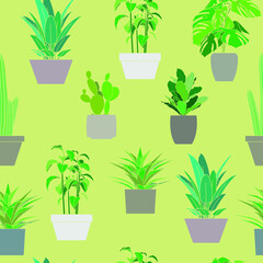 Fototapeta na wymiar Yellow pattern with different potted plants