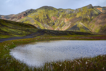 A small lake amidst the rhyolite mountains and green meadows of Landmannalaugar, Fjallabak Nature Reserve, Central Highlands, Iceland