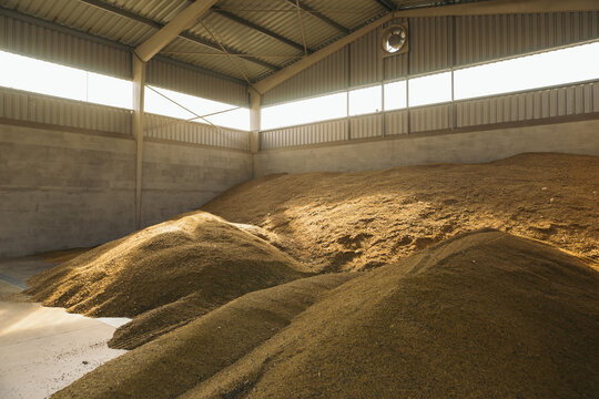 Grain storage facility