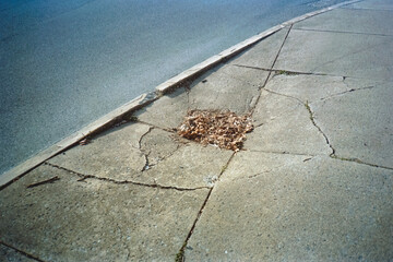 Heavy pile of leaves