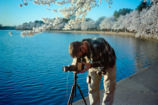 Photographing Cherry Blossoms